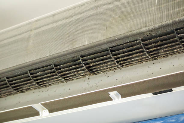 Best Best Air Duct Cleaning Company  in Wagner, SD